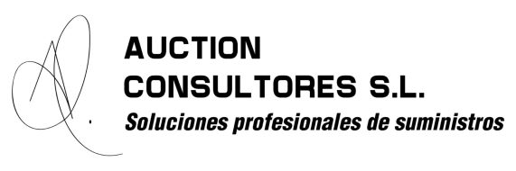 AUCTION CONSULTORES